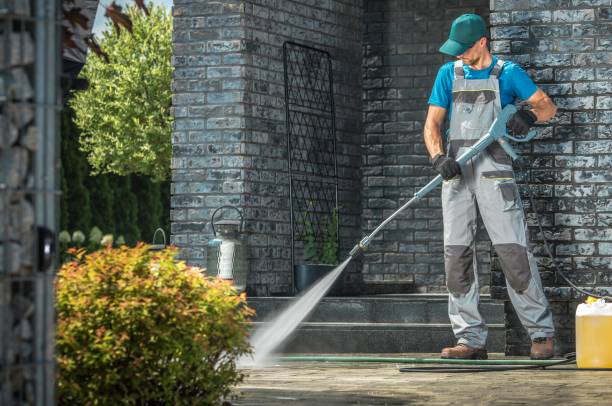 Best Rust Removal  in Brownlee Park, MI