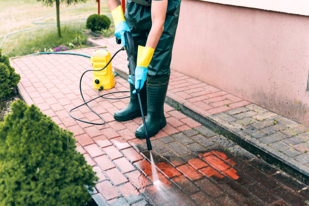 Best Restaurant Pressure Washing  in Brownlee Park, MI
