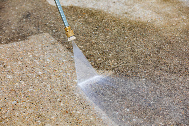 Best Soft Washing  in Brownlee Park, MI