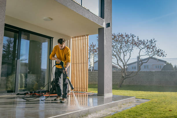 Best Building Exterior Washing  in Brownlee Park, MI